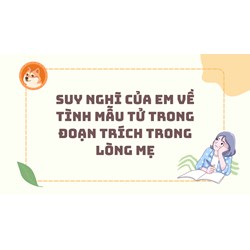Suy nghĩ của em về tình mẫu tử trong đoạn trích Trong lòng mẹ