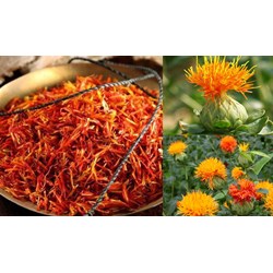 Tác dụng của cây hồng hoa dược liệu như thế nào?