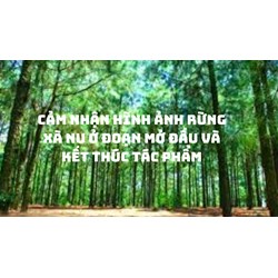 Cảm nhận hình ảnh Rừng xà nu ở đoạn mở đầu và kết thúc tác phẩm