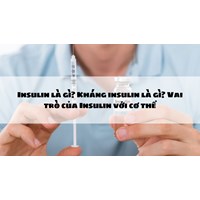Insulin là gì? Kháng insulin là gì? Vai trò của Insulin với cơ thể