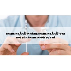 Insulin là gì? Kháng insulin là gì? Vai trò của Insulin với cơ thể