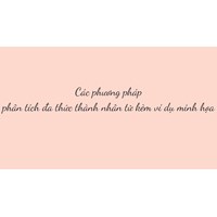 Các phương pháp phân tích đa thức thành nhân tử kèm ví dụ minh họa