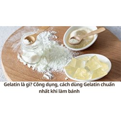 Gelatin là gì? Công dụng, cách dùng Gelatin chuẩn nhất khi làm bánh
