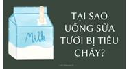 Tại sao uống sữa tươi bị tiêu chảy?