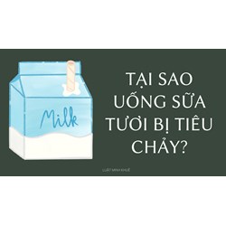 Tại sao uống sữa tươi bị tiêu chảy?