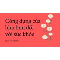 Công dụng của bìm bìm đối với sức khỏe