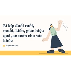 Bí kíp đuổi ruồi, muỗi, kiến, gián hiệu quả ,an toàn cho sức khỏe