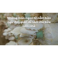 Những món ngon từ nấm bào ngư đơn giản dễ làm cho bữa cơm