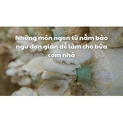 Những món ngon từ nấm bào ngư đơn giản dễ làm cho bữa cơm