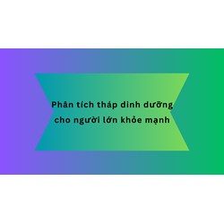 Phân tích tháp dinh dưỡng cho người lớn khỏe mạnh