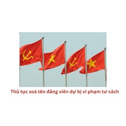 Thủ tục xoá tên đảng viên dự bị vi phạm tư cách