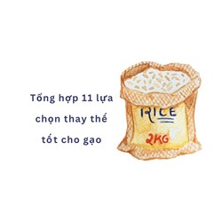 Tổng hợp 11 lựa chọn thay thế tốt cho gạo