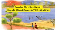 Soạn bài Bầy chim chìa vôi | Hay, chi tiết nhất Soạn văn 7 Kết nối tri thức