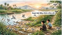 Soạn bài Bầy chim chìa vôi lớp 7 đầy đủ, chi tiết Kết nối tri thức