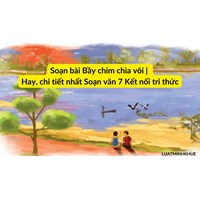 Soạn bài Bầy chim chìa vôi | Hay, chi tiết nhất Soạn văn 7 Kết nối tri thức