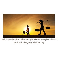 Viết đoạn văn phát biểu cảm nghĩ về một trong hai bài thơ lục bát: À ơi tay mẹ, Về thăm mẹ