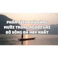 Phân tích thứ vàng mười trong Người lái đò sông Đà hay nhất
