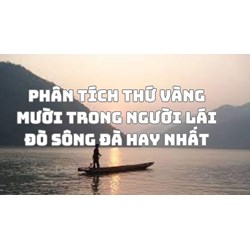 Phân tích thứ vàng mười trong Người lái đò sông Đà hay nhất