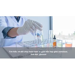 Tìm hiểu về đốt cháy hoàn toàn m gam hỗn hợp gồm xenlulozơ, tinh bột, glucozơ