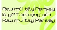 Rau mùi tây Parsley là gì? Tác dụng của Rau mùi tây Parsley