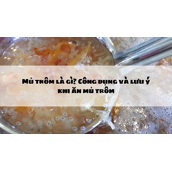 Mủ trôm là gì? Công dụng và lưu ý khi ăn mủ trôm