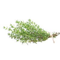 Cây xạ hương là gì? Cây xạ hương có độc hay không?