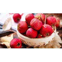 Công dụng của quả sơn tra đối với sức khỏe