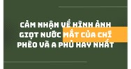 Cảm nhận về hình ảnh giọt nước mắt của Chí Phèo và A Phủ hay nhất