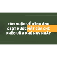 Cảm nhận về hình ảnh giọt nước mắt của Chí Phèo và A Phủ hay nhất