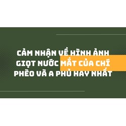Cảm nhận về hình ảnh giọt nước mắt của Chí Phèo và A Phủ hay nhất
