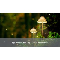 Đọc: Anh đom đóm - lớp 4 -  trang 95 Cánh Diều