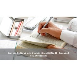 Soạn bài: Ôn tập và kiểm tra phần tiếng việt (Tập 2) - Soạn văn lớp 8 hay nhất