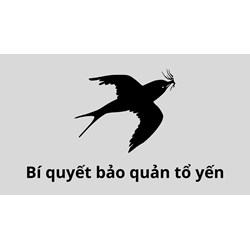 Bí quyết bảo quản tổ yến thô, yến tươi, yến chưa chưng và đã chưng dễ dàng, hiệu quả