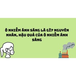 Ô nhiễm ánh sáng là gì? Nguyên nhân, hậu quả của ô nhiễm ánh sáng