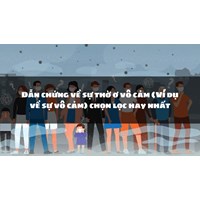 Dẫn chứng về sự thờ ơ vô cảm (Ví dụ về sự vô cảm) chọn lọc hay nhất