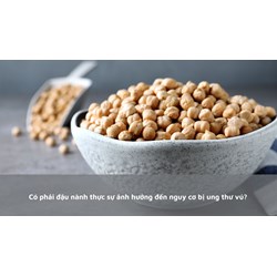 Có phải đậu nành thực sự ảnh hưởng đến nguy cơ bị ung thư vú?