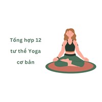 Tổng hợp 12 tư thế Yoga cơ bản