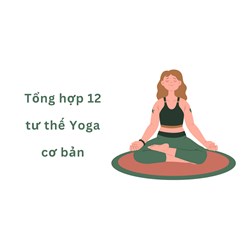 Tổng hợp 12 tư thế Yoga cơ bản