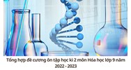 Tổng hợp đề cương ôn tập học kì 2 môn Hóa học lớp 9