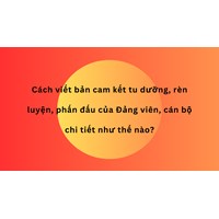 Cách viết bản cam kết tu dưỡng, rèn luyện, phấn đấu của Đảng viên, cán bộ chi tiết như thế nào?