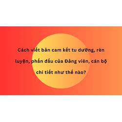 Cách viết bản cam kết tu dưỡng, rèn luyện, phấn đấu của Đảng viên, cán bộ chi tiết như thế nào?