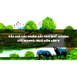 Tác giả tác phẩm bài thơ Quê hương (Tế Hanh): Ngữ văn lớp 8