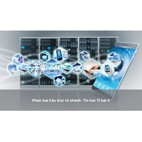 Phân loại Cấu trúc rẽ nhánh: Tin học 11 bài 9