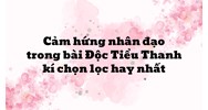 Cảm hứng nhân đạo trong bài Độc Tiểu Thanh kí chọn lọc hay nhất