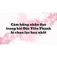 Cảm hứng nhân đạo trong bài Độc Tiểu Thanh kí chọn lọc hay nhất
