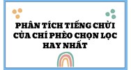Phân tích tiếng chửi của Chí Phèo chọn lọc hay nhất