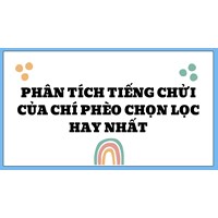 Phân tích tiếng chửi của Chí Phèo chọn lọc hay nhất