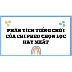 Phân tích tiếng chửi của Chí Phèo chọn lọc hay nhất