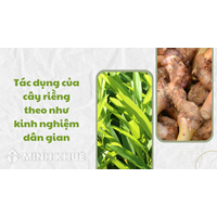 Tác dụng của cây riềng theo như kinh nghiệm dân gian