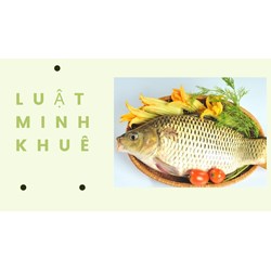 Những lợi ích của cá chép theo như kinh nghiệm dân gian